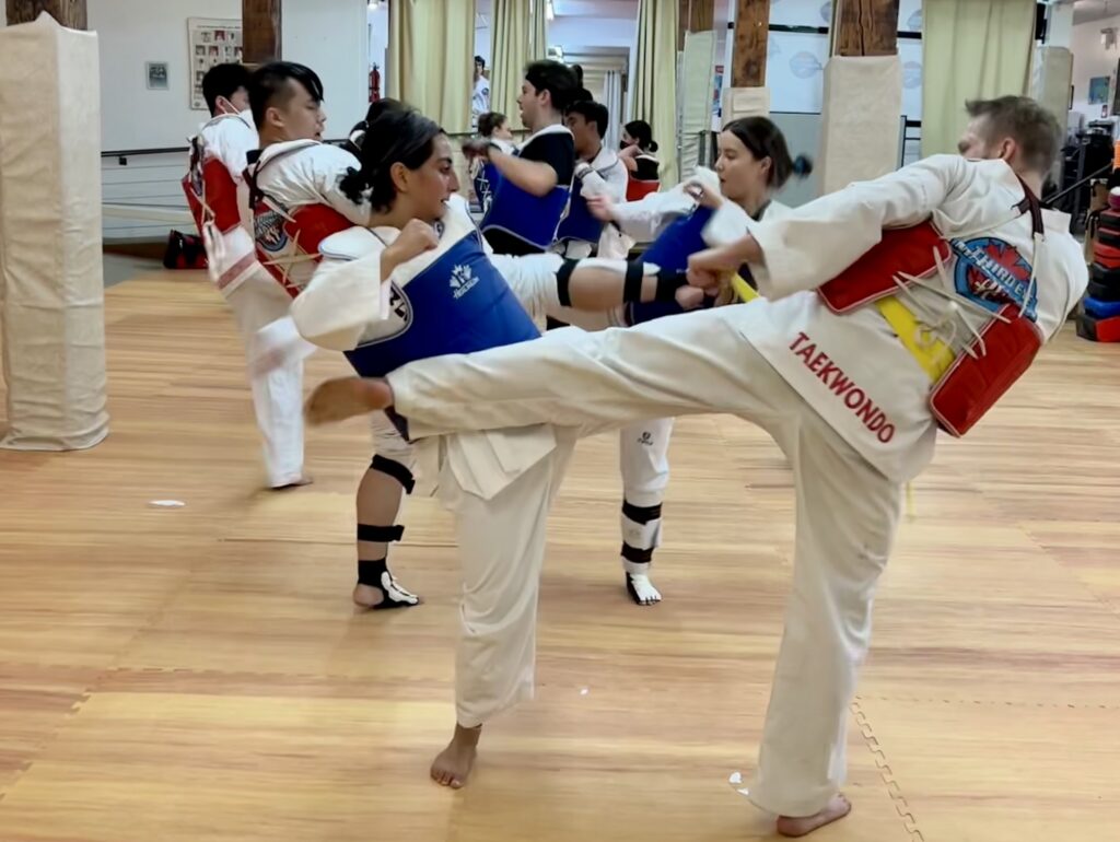 Adults Taekwondo Programs Third Eye Martial Arts Studio Inc.